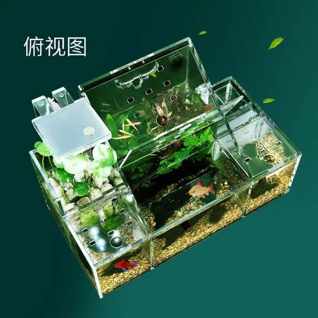 Small Ecological Betta Fish Tank Guppy Breeding Incubation Combination ...