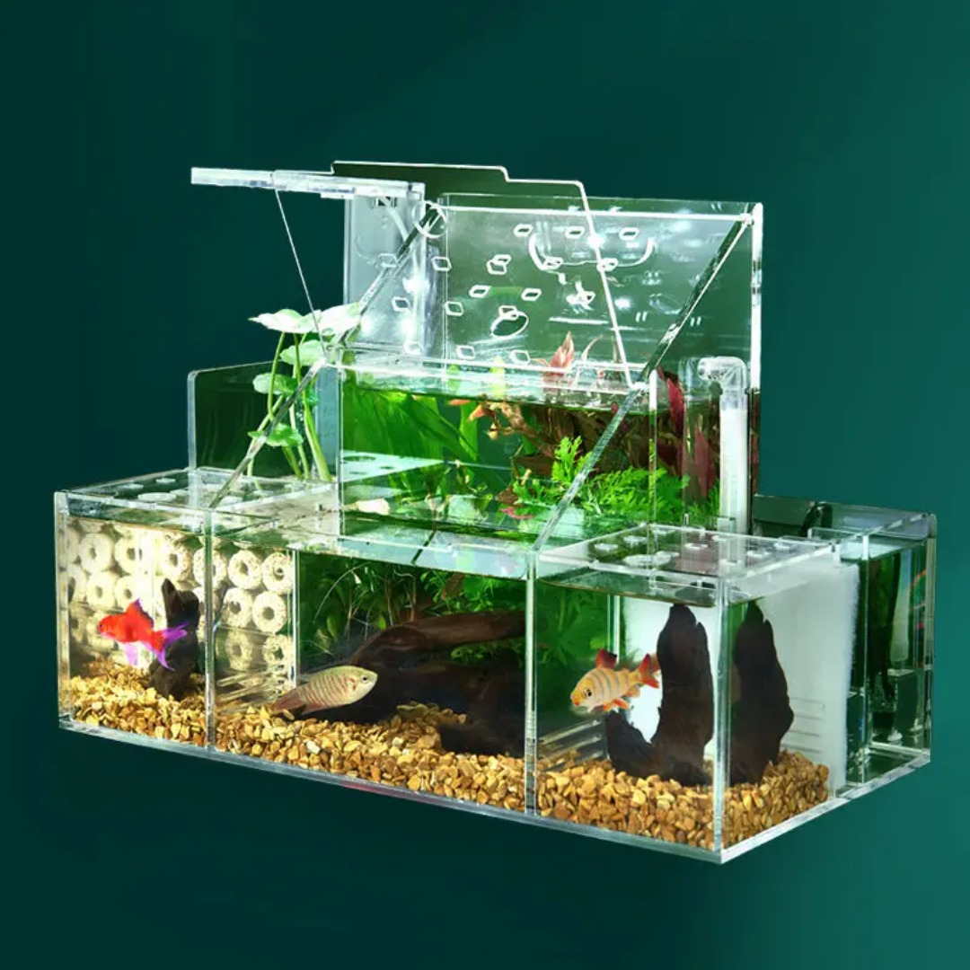 Photo inspiration: Visual Reference: Small Ecological Betta Fish Tank Guppy Breeding Incubation Combination