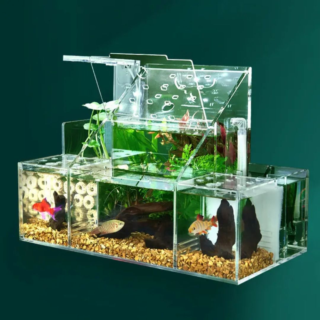 Small Ecological Betta Fish Tank Guppy Breeding Incubation Combination ...