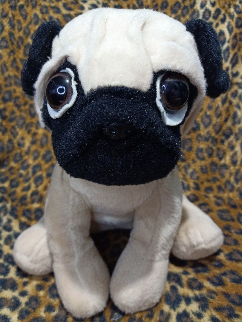 Pug big size cheap