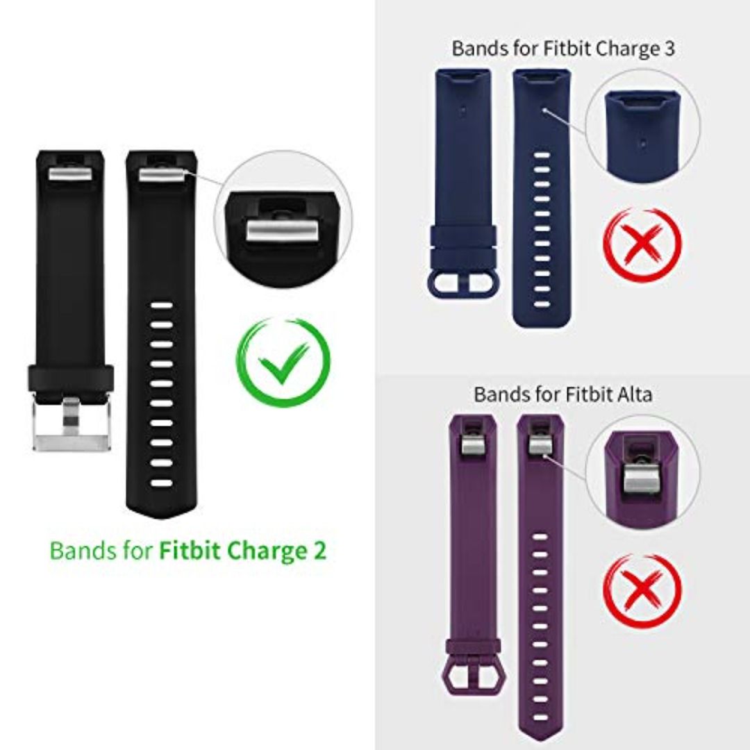 Fitbit charge 2 accessories online