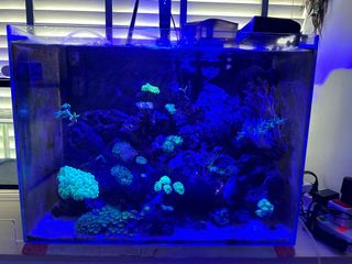 (Category: ) located in . Submitted by jnjj21 (Listing ID 1291737804, Image 1). Description: .