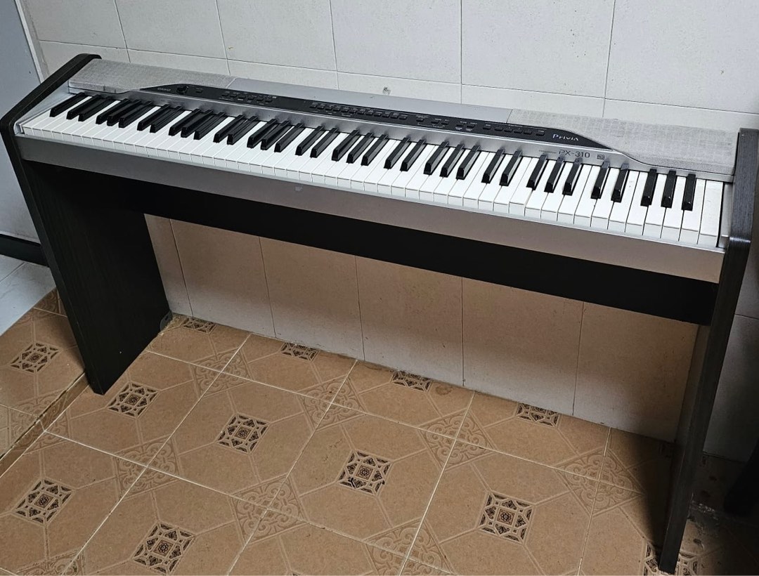 Casio px 310 store