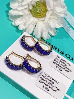 Hk Earrings w/blue Sapphire stone