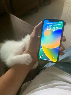 (Kategori: ) berada di . Dikirim oleh pascaloved (ID iklan 1291789040, Gambar 1). Deskripsi: .