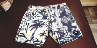 Quiksilver volley shorts