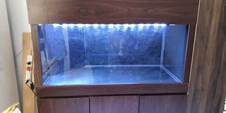 (Category: ) located in . Submitted by ctisha82 (Listing ID 1291893889, Image 1). Description: .