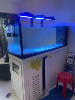 (Category: ) located in . Submitted by kenchong81 (Listing ID 1292056154, Image 1). Description: .