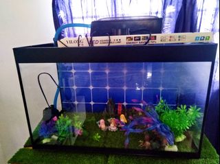 (Category: ) located in . Submitted by rubyatul23 (Listing ID 1291960392, Image 1). Description: .