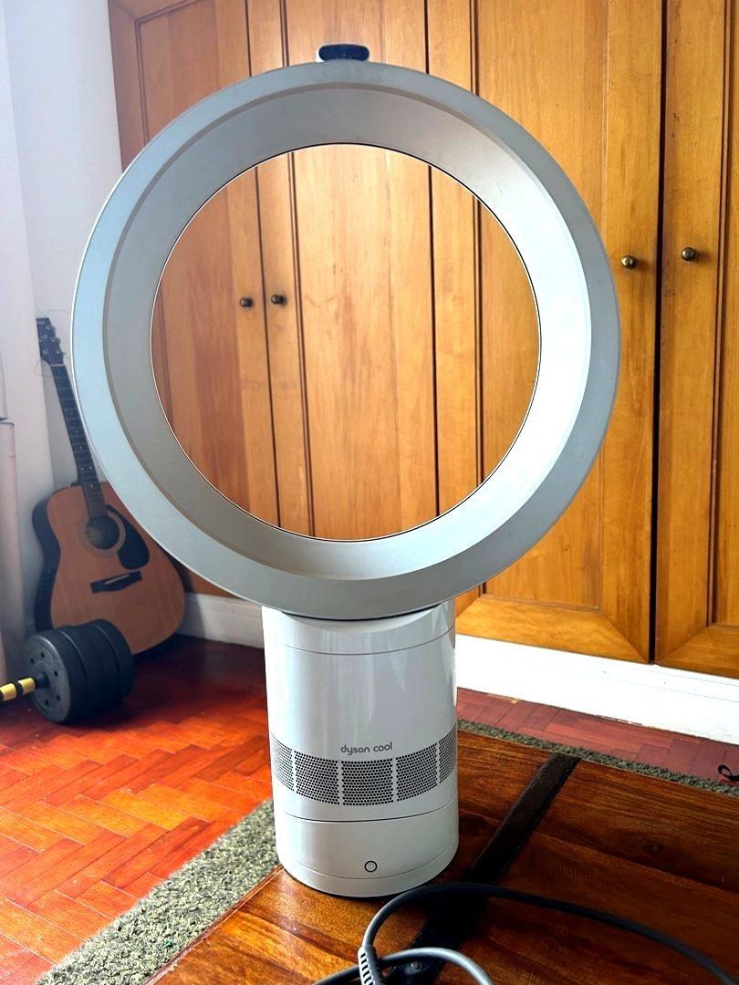 Dyson 12 Inch AM06