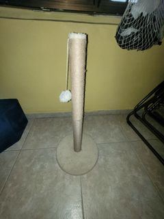 (Category: ) located in . Submitted by cattomato (Listing ID 1291926006, Image 1). Description: .