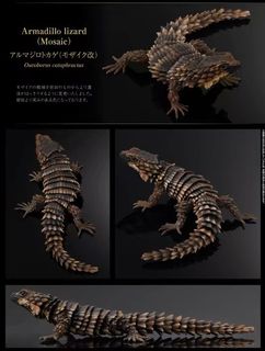(Category: ) located in . Submitted by chienpion.actionfigures (Listing ID 1292038109, Image 1). Description: .