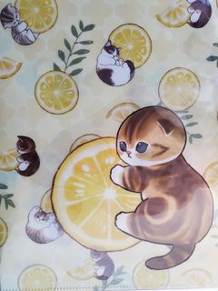 （分類：）位於 。 由 ngngfruit 提交（商品編號 1292025897，圖片 1）。簡介： 。