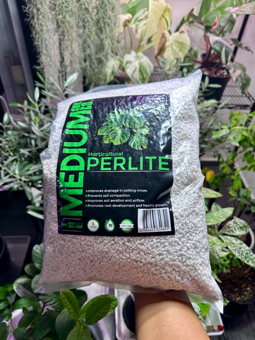 Perlite By The Medium Soil Co. For Soil Mix Aroid and Ornamental Plants ...