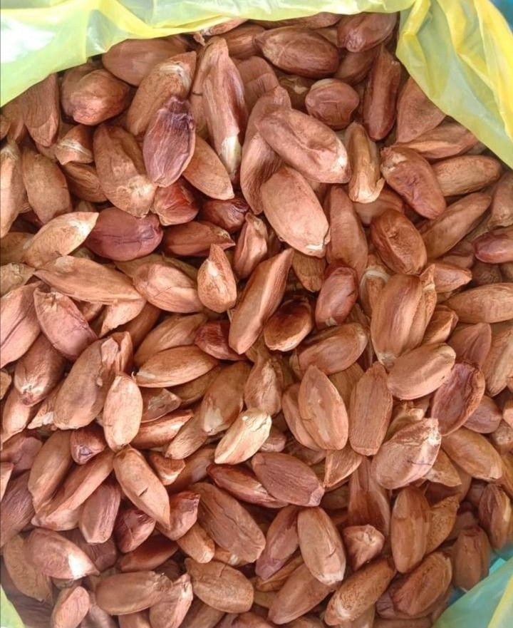 Pili Nuts (Category: Local Eats) located in Sorsogon. Submitted by rgfrilles (Listing ID 1292003964, Image 1). Description: Raw Pili Nuts fresh from Sorsogon, minimum orders 3 kilos, shipment via LBC, shipping fee shoulder by buyer.. Payment via Gcash.