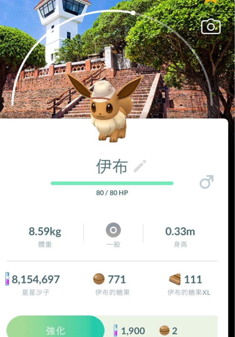 Pokémon go台南背景圖伊貝✨活動限定！, 電子遊戲, 遊戲機配件, 遊戲禮物卡及帳戶- Carousell