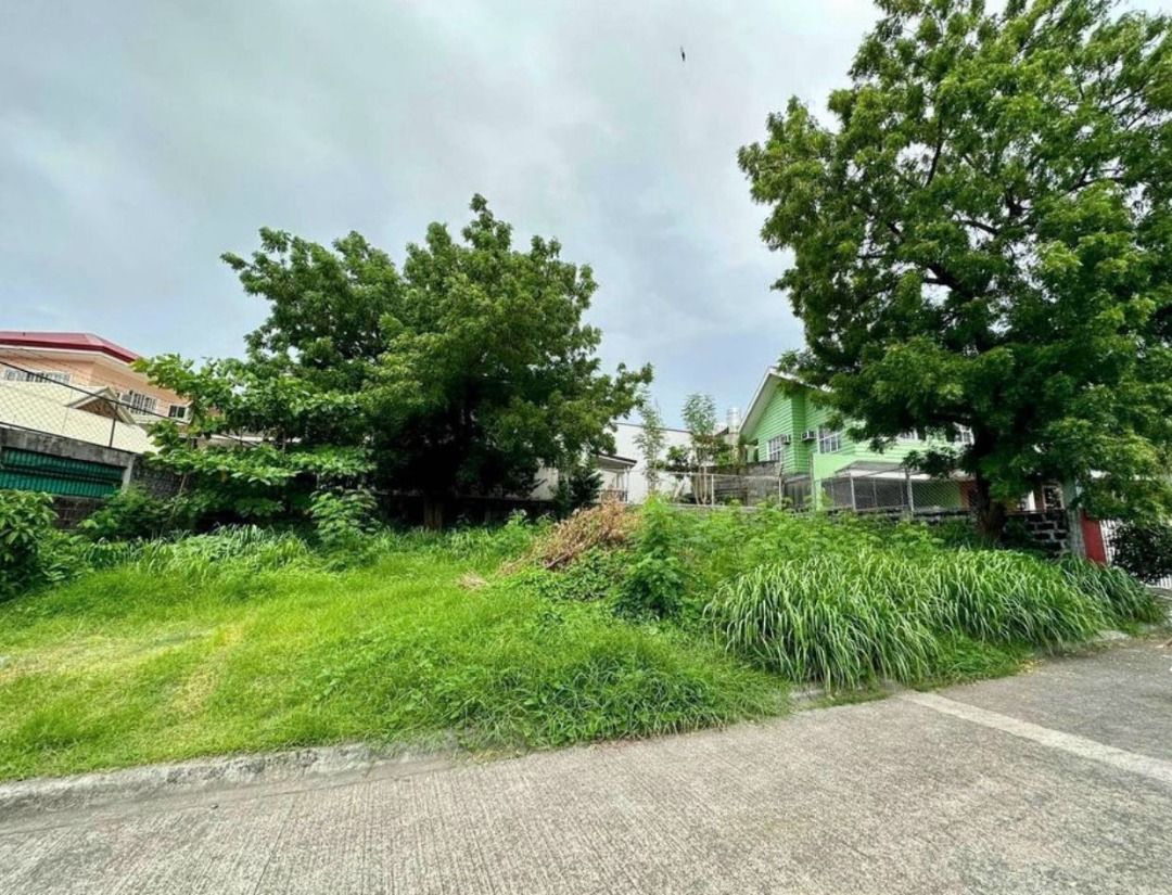 Prime Lot BF HEVA BF Homes Parañaque for Sale, Property, For Sale