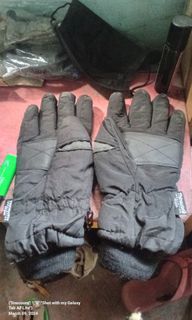 Thinsulate insulation 40 g. gloves