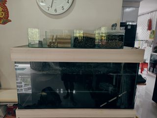 (Category: ) located in . Submitted by shuk.ezat (Listing ID 1296211934, Image 1). Description: .