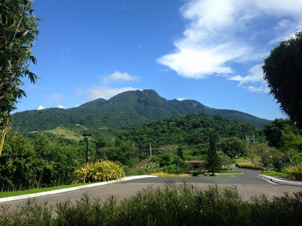 Ayala Greenfield Estate Prime Lot with Towering Acacia Trees Mt