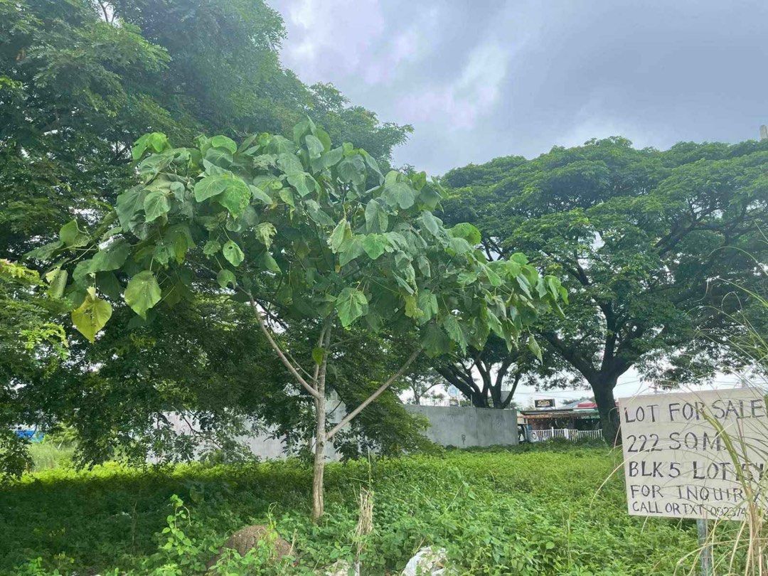 Bella Vista Subdivision General Trias Cavite (Category: Lot) located in San Pedro. Submitted by stylette_ph (Listing ID 1296202387, Image 2). Description: Bella Vista Subdivision General Trias Cavite 221 sqm adjacent lots (110 and 111) Near main Road Clean Title 2.6M Highly negotiable for sure buyers PM for interested 09777866893 Malls/Marketplace Vista Mall – 1km Walter Mart – 7km Gen Star Public Market – 7km SM Dasma – 10km Schools Lyceum – 6km