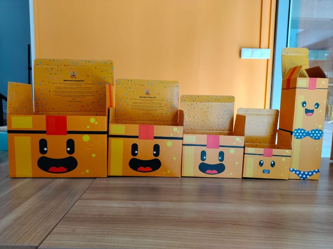 Carton Boxes And Company Surprize Boxes, Hobbies & Toys, Stationery ...