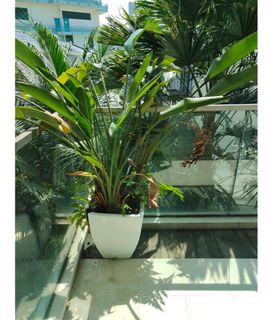 (Category: ) located in . Submitted by chax03 (Listing ID 1296179997, Image 1). Description: .