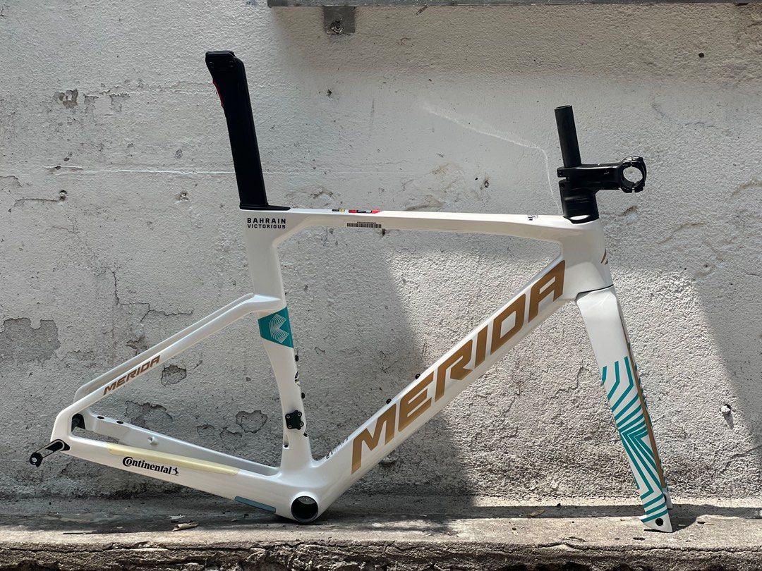 Merida Reacto Team Edition Pearl CF V Frameset