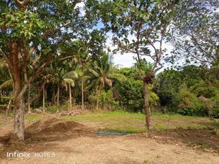 Residential farm lot  for sale near Tagaytay
