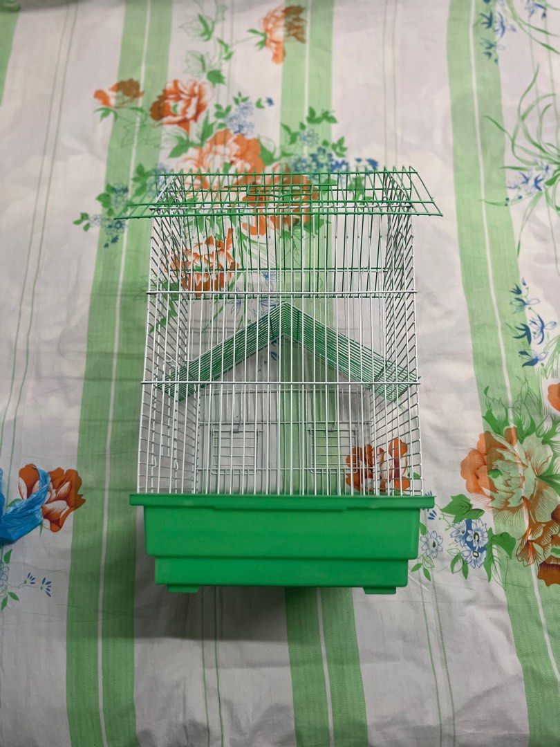 Sangkar sugar glider burung