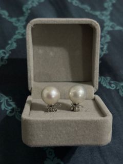 South sea pearl earrings