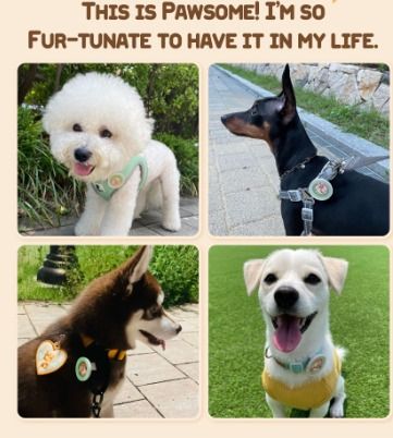 Walking Mate Pet Neon Clip for Dog Pet Supplies Homes Other Pet Accessories on Carousell