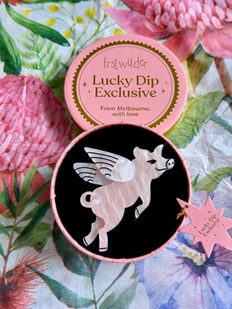 🇦🇺 Erstwilder 🐖 PIGS CAN FLY 🐷 Exclusive Lucky Dip