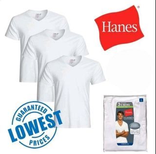 Brand new Hanes T-shirts Plain & Colored Available