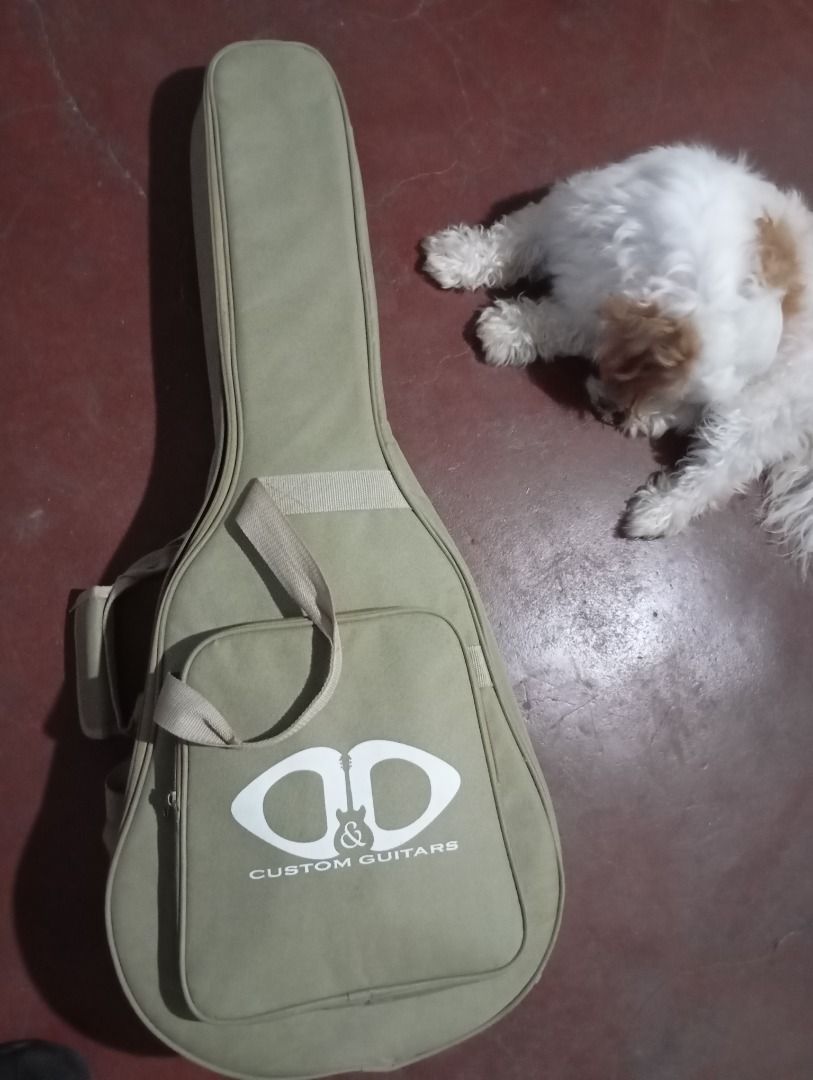 D&D Django Jr Acoustic/Electric Guitar, Hobbies & Toys, Music & Media ...