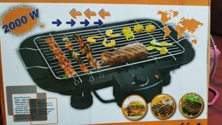 Electric BBQ Grilled