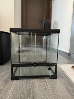 （分類：）位於 。 由 pinky1202 提交（商品編號 1297579580，圖片 1）。簡介： 。