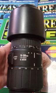 Sigma 70-300mm 1:4 D DL Macro (Nikon)