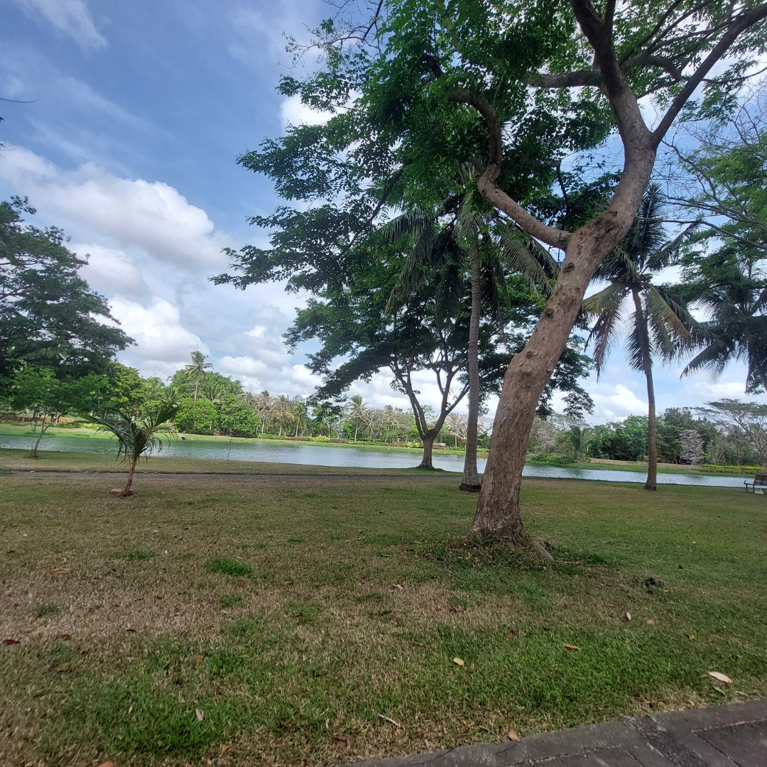 FOR SALE! Good Feng Shui MONTECITO LOTS NUVALI LAGUNA, Property, For