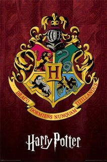 Harry Potter official licensed poster