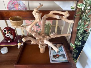 （分類：）位於 。 由 lamyanyi 提交（商品編號 1297732540，圖片 1）。簡介： 。