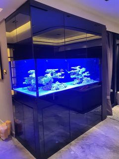(Category: ) located in . Submitted by bingo_aquatic_solutions (Listing ID 1290492156, Image 1). Description: .
