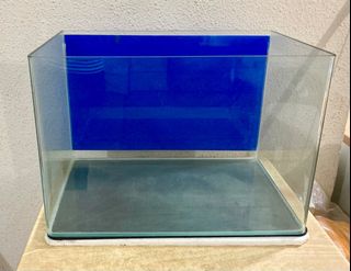 (Category: ) located in . Submitted by eeleec (Listing ID 1297914912, Image 1). Description: .