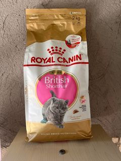 royal canin kitten BRITISH SHORT HAIR