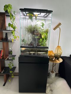 （分類：）位於 。 由 udonutisgood 提交（商品編號 1297994823，圖片 1）。簡介： 。