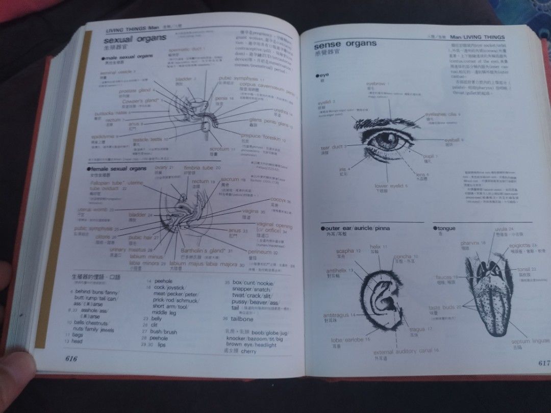 dictionary (Category: Textbooks) located in Petaling Jaya. Submitted by kbgoh111 (Listing ID 1297991922, Image 3). Description: visual glossary of the physical world picturedictionary.