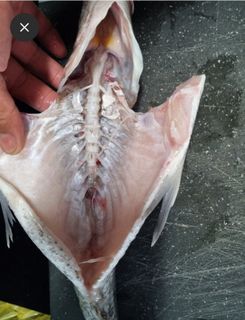 (Category: ) located in . Submitted by jl_like2fish (Listing ID 1298091052, Image 1). Description: .