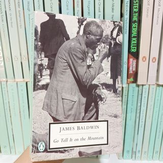 Go Tell It on the Mountain by James Baldwin (Penguin Twentieth Century Classics)