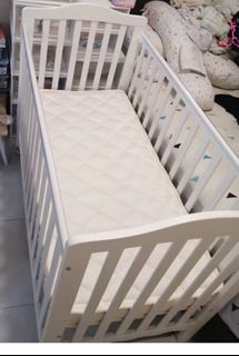 (Category: ) located in . Submitted by jaz_flora (Listing ID 1298046452, Image 1). Description: .