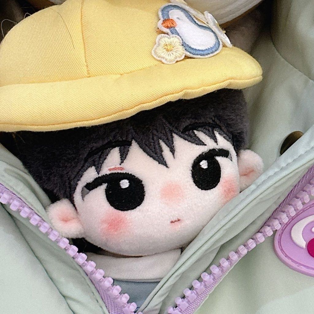 Seventeen Wonwoo 10cm Doll Breadwon, Hobbies & Toys